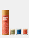 FD Trio Candles - Winter