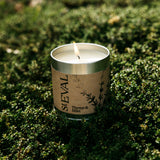 St Eval Scented Tin Candle-Thyme & Mint