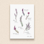 PC MOUNTED Heather Botanical