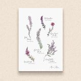 PC MOUNTED Heather Botanical