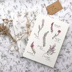PC MOUNTED Heather Botanical