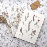 PC MOUNTED Heather Botanical