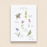 PC MOUNTED Causeway Flora Print