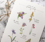 PC MOUNTED Causeway Flora Print