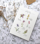 PC MOUNTED Causeway Flora Print