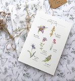 PC MOUNTED Causeway Flora Print