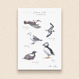 PC MOUNTED Causeway Seabirds Print