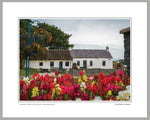 PRM Photo Print-Cockle Row Cottages, Groompsort NI