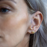 SPK Loralei Starfish Pearl Earrings - Gold