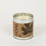 St Eval Scented Tin Candle-Fig Tree