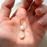 Decadorn Ear Wire Earrings - Sea Pearl Gold