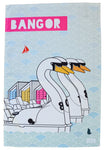 HLM Pickie Park Bangor Tea Towel