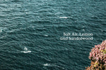FD Diffuser - Sea