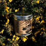 St Eval Scented Tin Candle-Wild Gorse