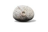 Lynsey de Burca Doorus Mix Pendant