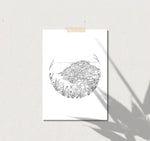 SMA A4 Print - Giant’s Causeway