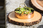 KC Serving Board - 30cm Acacia Wood