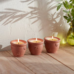 STE Gift Box - Natures Garden