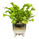 S&B Mojave Large Planter on Legs - Green