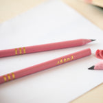 VFC Pencil Set - Pink