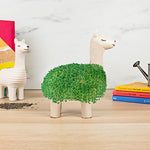 GR Lama Planter