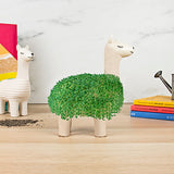 GR Lama Planter