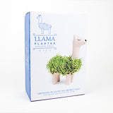 GR Lama Planter