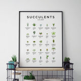 EVL Succulents Poster-The Essential Guide