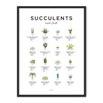 EVL Succulents Poster-The Essential Guide