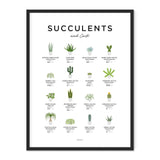 EVL Succulents Poster-The Essential Guide