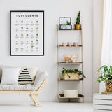 EVL Succulents Poster-The Essential Guide