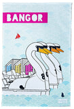 HLM Pickie Park Bangor Tea Towel