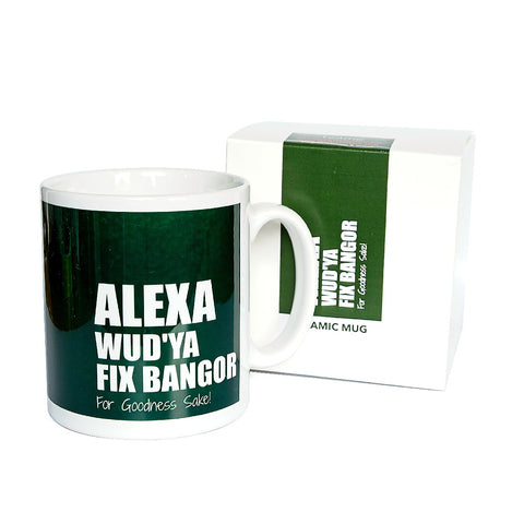 HLM Mug - Alexa Fix Bangor