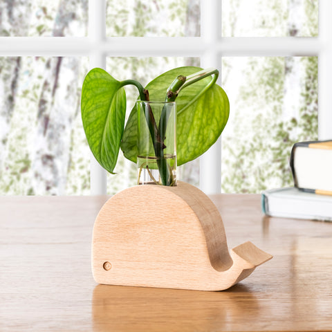 KK Whale Propagation Vase