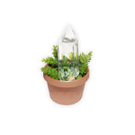 KK Self Watering Crystal