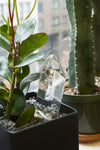 KK Self Watering Crystal