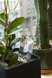 KK Self Watering Crystal