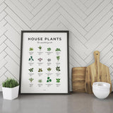 EVL House Plant Poster-The Essential Guide