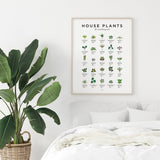 EVL House Plant Poster-The Essential Guide