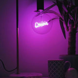 STP Dream LED filament Text Dimmable Light Bulb.