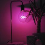 STP GIN LED filament Text Dimmable Light Bulb-PINK