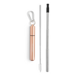 UBS Travel Stainless Steel Straw-Rose Gold
