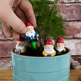 GR Mini Plant Pot Gnomes